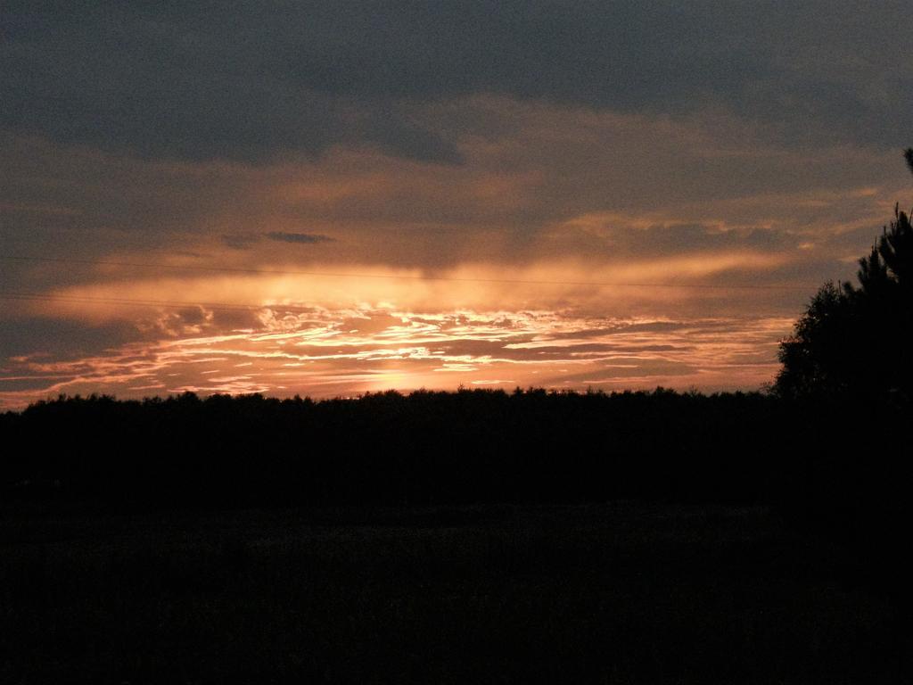 Agroturystyka "Bociek" Bełk Exterior foto